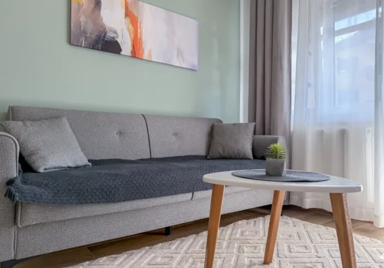 apartman-ana-2-sokobanja-detalj-sofa-stocic_result