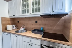 Moderna kuhinja – apartman Sokobanja Moderna kuhinja u apartmanu Ana Delux