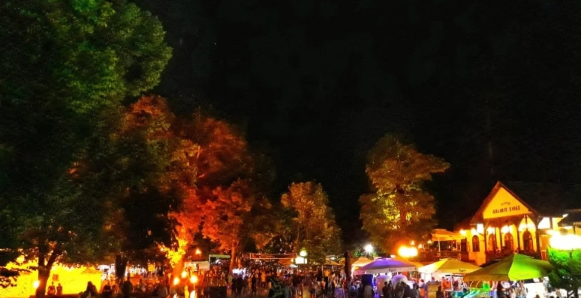 Centar Sokobanje noću sa osvetljenom fontanom i šetalištem