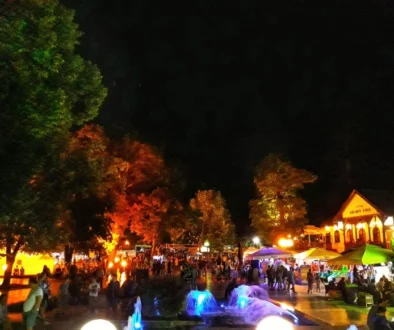 Centar Sokobanje noću sa osvetljenom fontanom i šetalištem