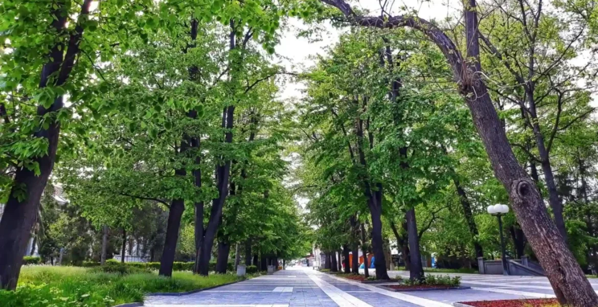 Zeleno šetalište okruženo drvećem u centru Sokobanje