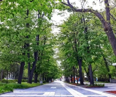Zeleno šetalište okruženo drvećem u centru Sokobanje