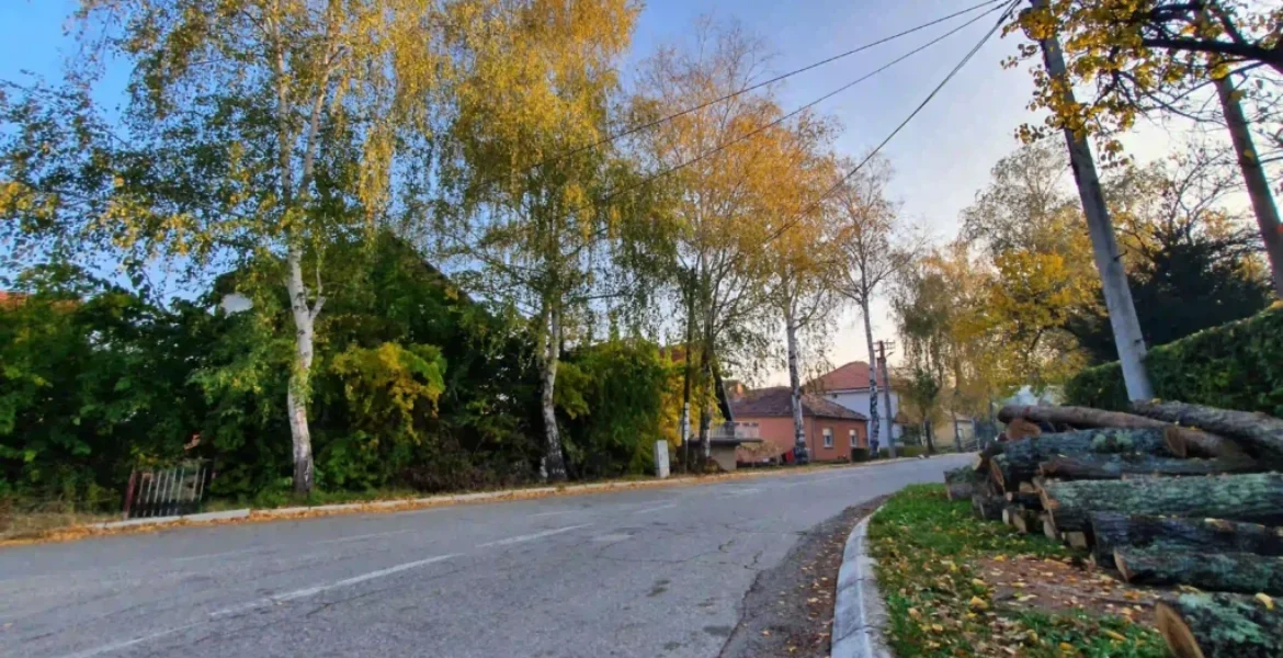 Jesenji prizor u Sokobanji, put kroz zelenilo i opalo lišće