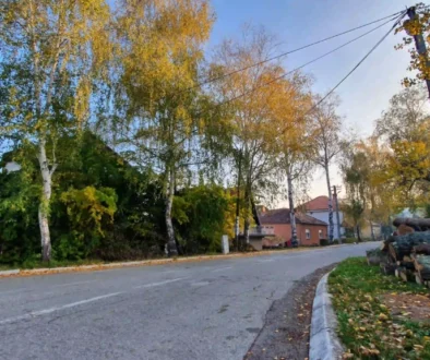 Jesenji prizor u Sokobanji, put kroz zelenilo i opalo lišće
