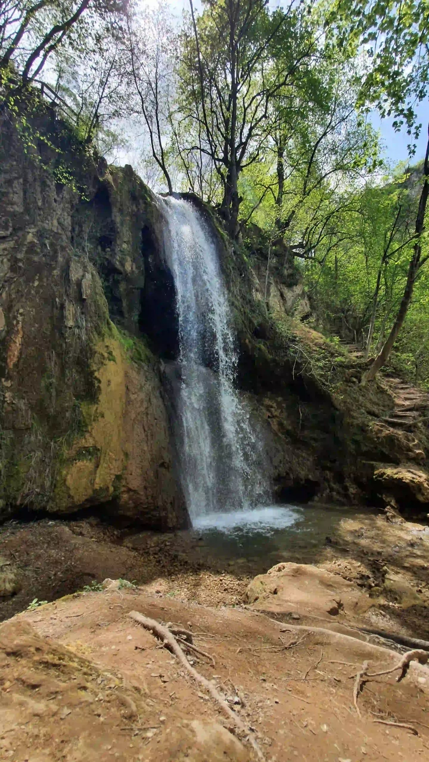 Vodopad u prirodi Sokobanje, staza i zelenilo oko vode
