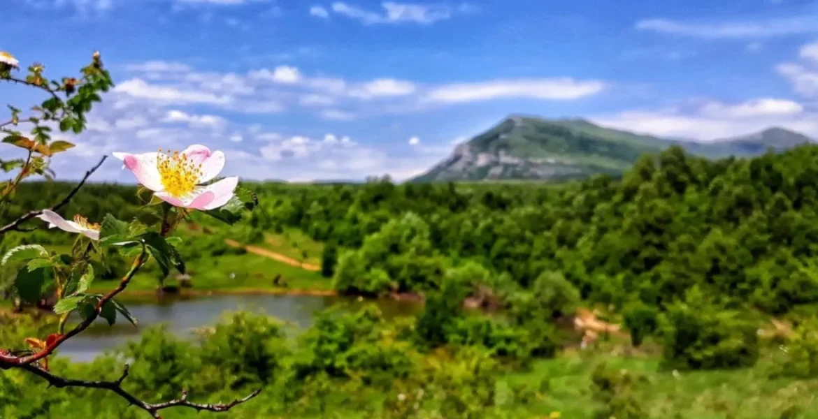 Vrmdžansko jezero sa planinom Rtanj u pozadini