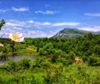 Vrmdžansko jezero sa planinom Rtanj u pozadini